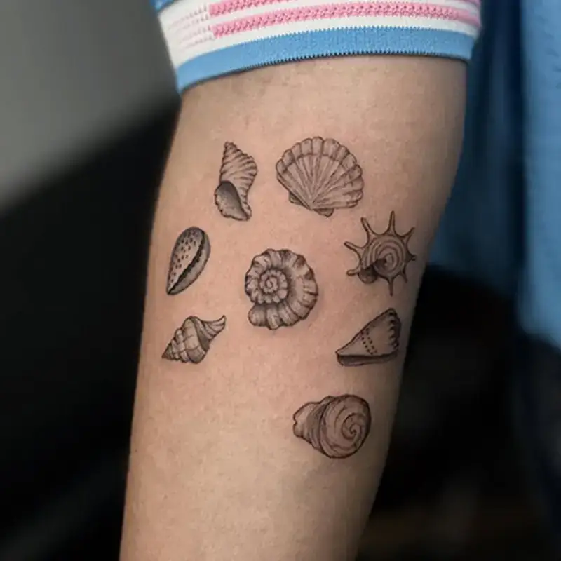 Fine line seashell collection tattoo by Lusiana Morales